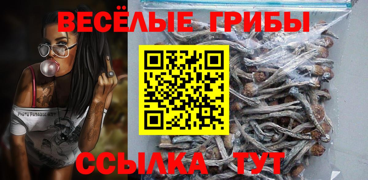 Псилоцибиновые грибы GOLDEN TEACHER  Галлюциногенные грибы мицелий  Советский  Вход с VPN 